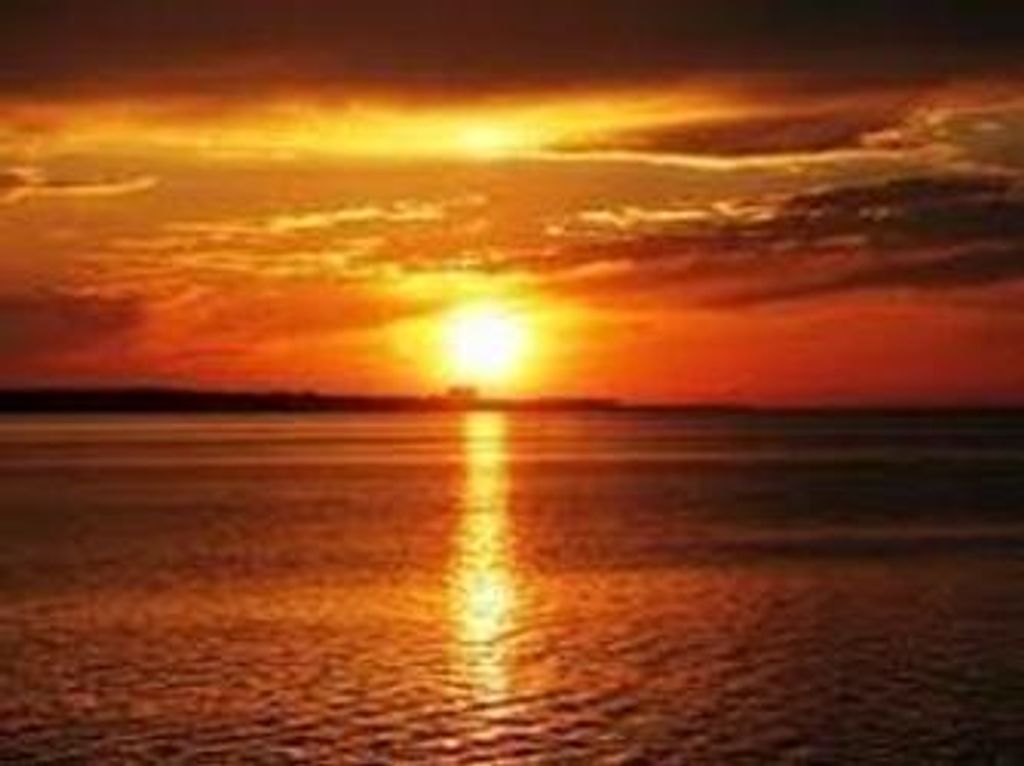 Elizabeth Ann Newman