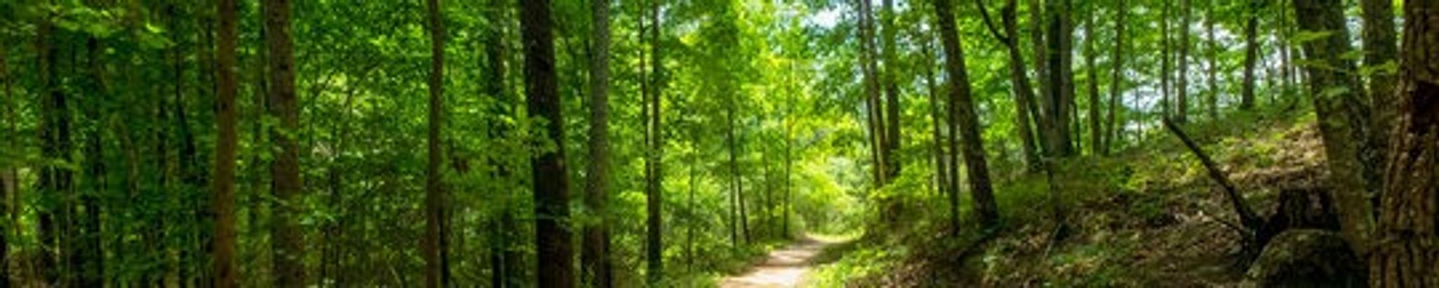 Cover for Raymond "Big Hall" Hall's Obituary