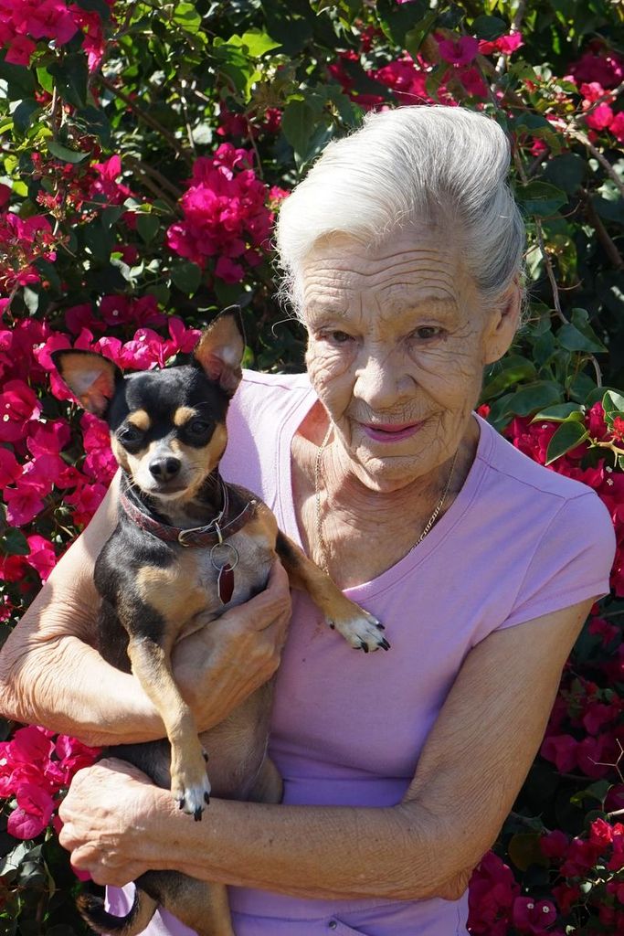 Maria Teresa Hernandez Profile Photo