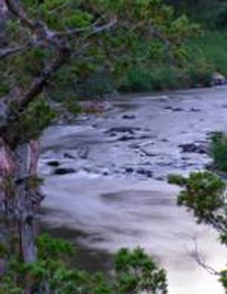 Lorraine Elizbeth Nichols Kent