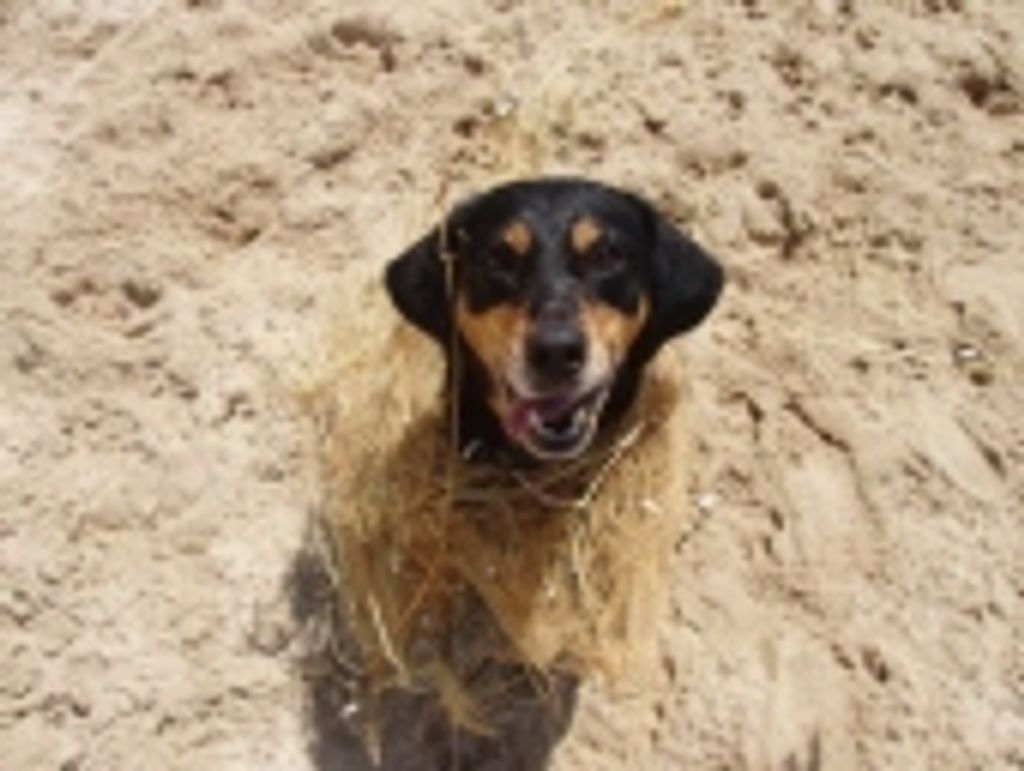 Sophie Bridwell Profile Photo