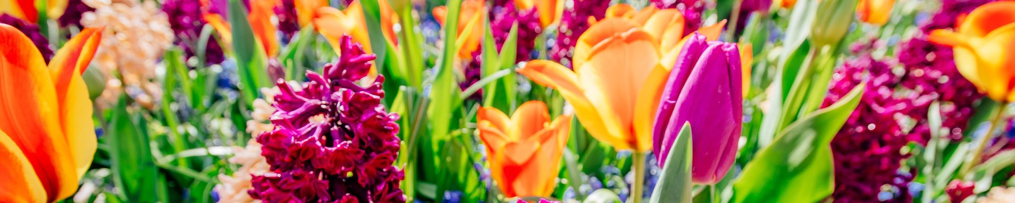 Cover photo for Deborah Lee Potts's Obituary