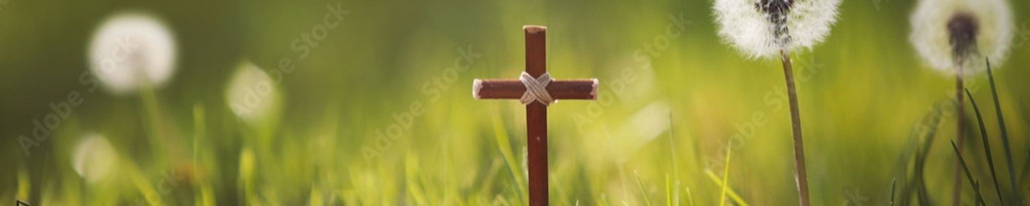 Cover photo for George Nathan Sanchez's Obituary