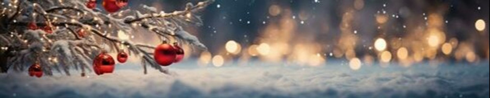 Cover photo for Holiday Remembrance Service Livestream's Obituary