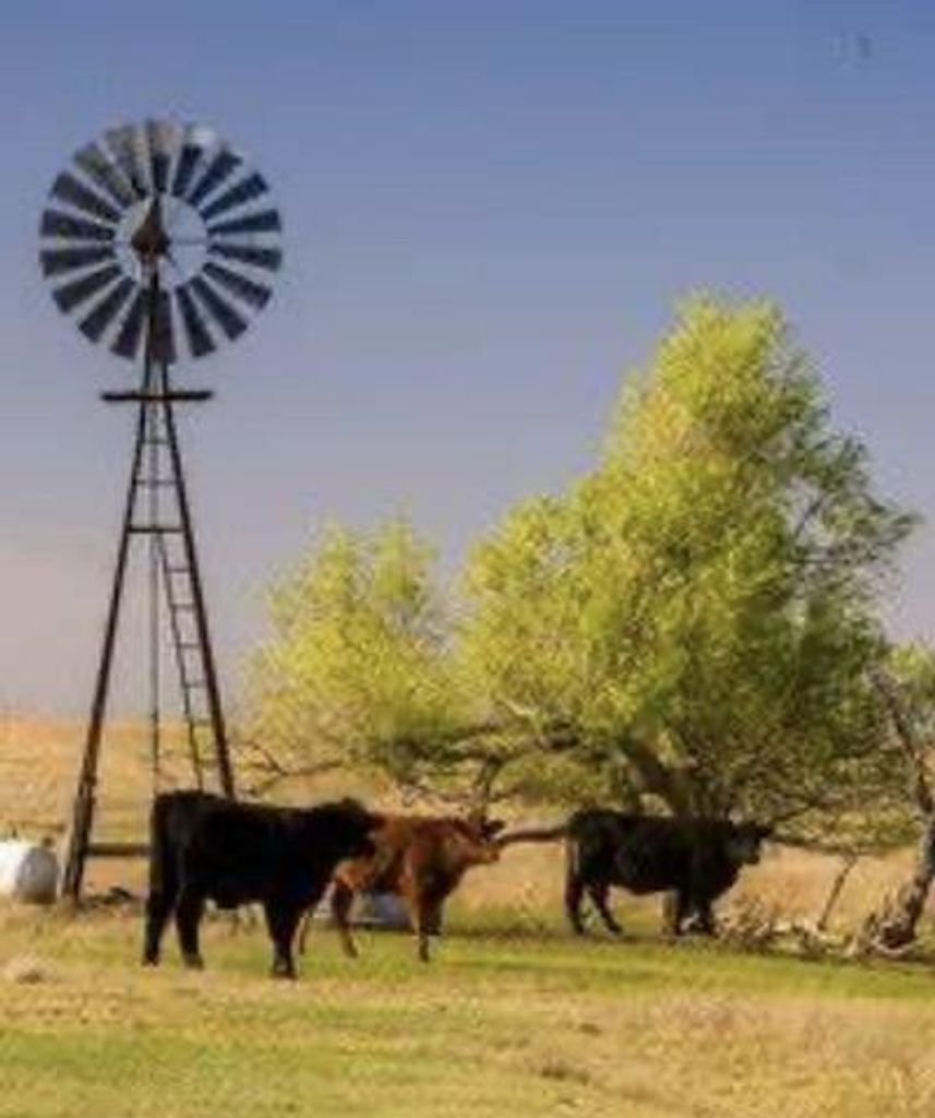 Barton Deen Koehn Profile Photo