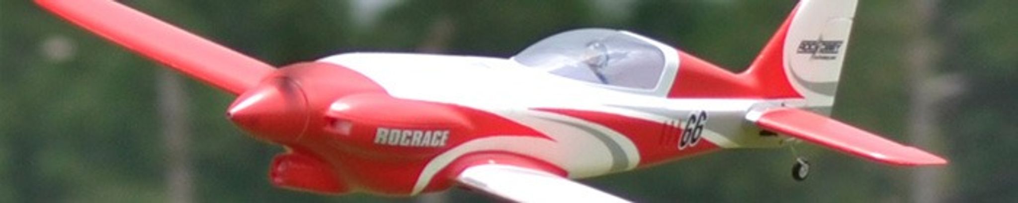 Cover for Denis Lucius Bielick's Obituary