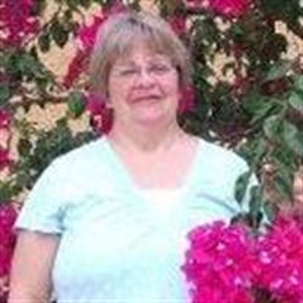 Sandra Sue Niemi