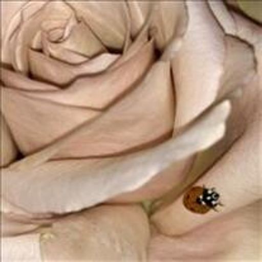 Theresa Regina Steinert Profile Photo