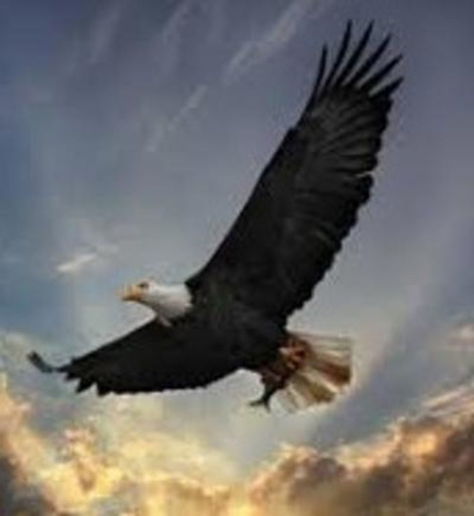 Charles G. Schaeffer