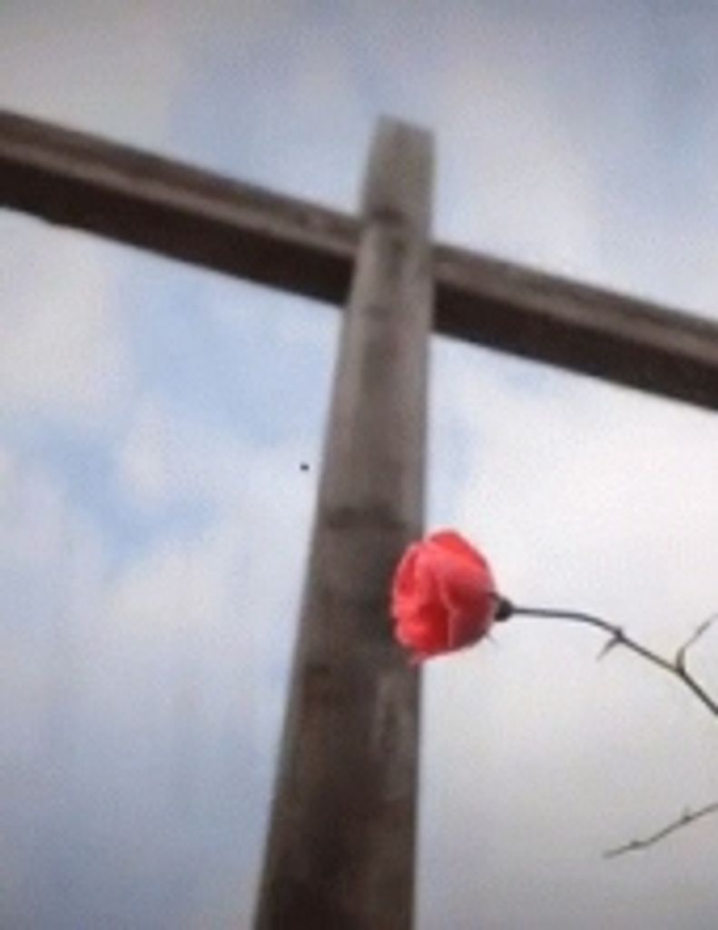 William "Bill" R. Riggs -Glbfh