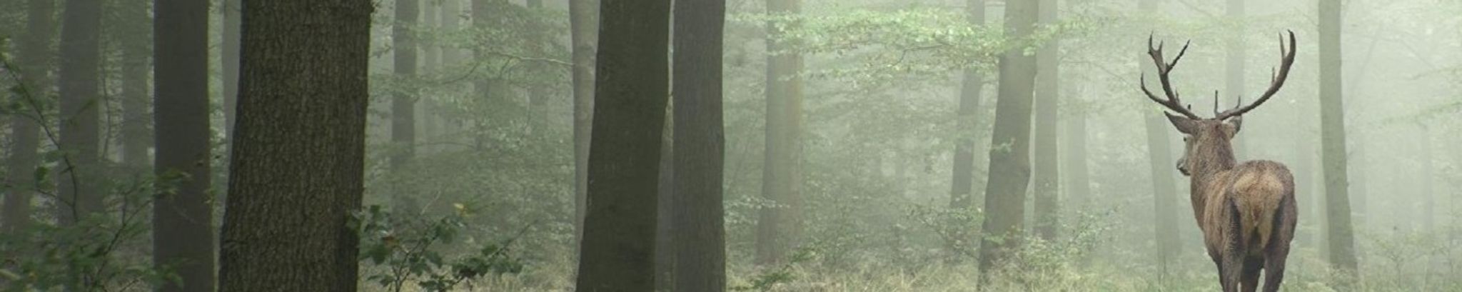 Cover photo for William "Bill" Sylvester Spears's Obituary