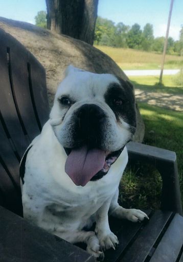 Leroy D. Stephenson photo gallery thumbnail 48 of 114