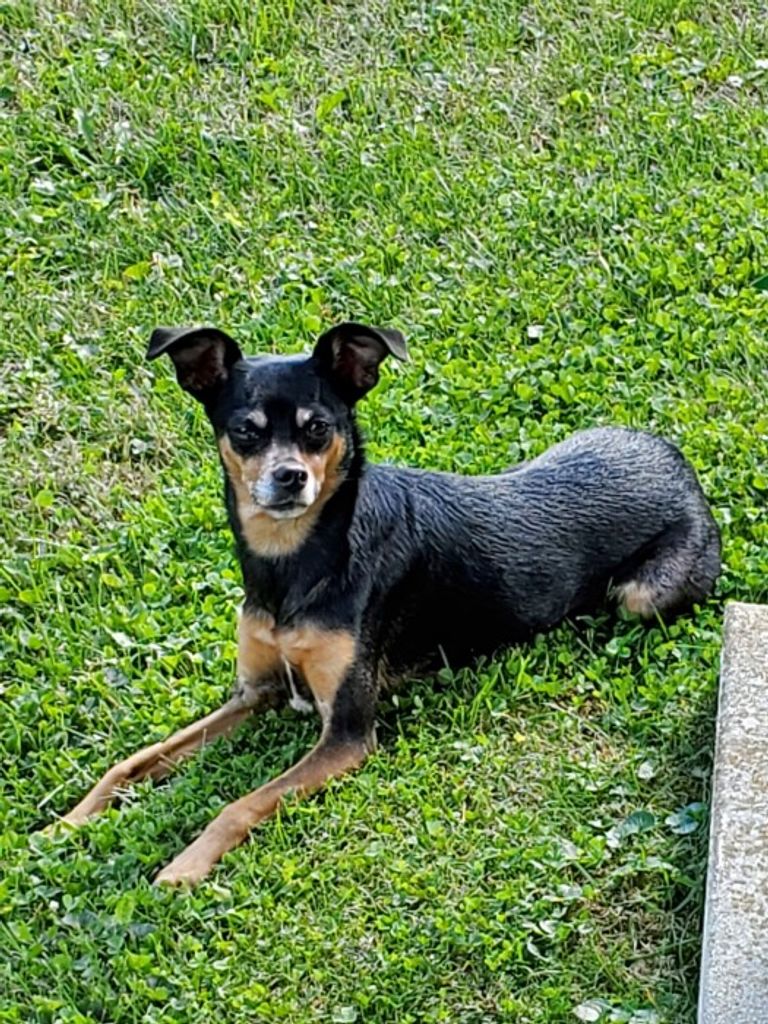 Coco Batman