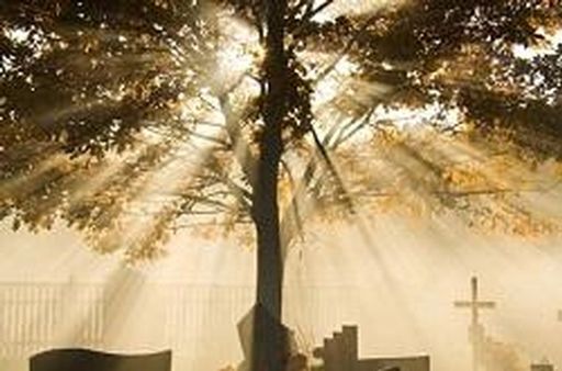 C. Edward Shiffert Profile Photo