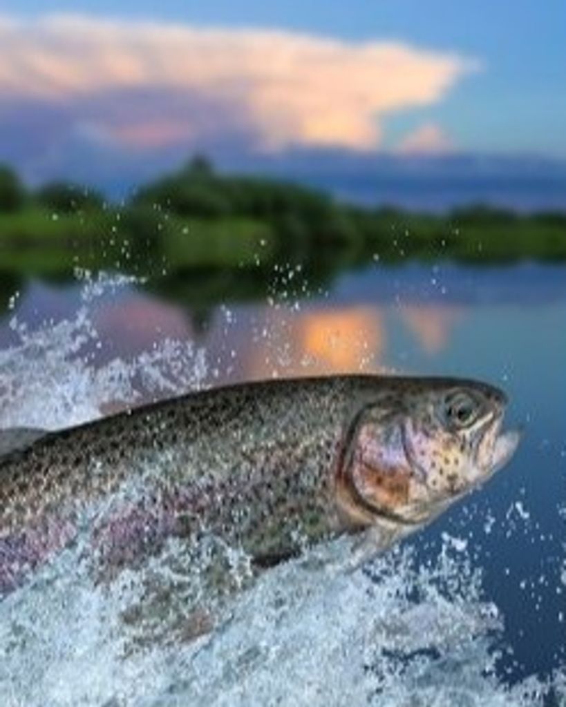 Thomas M Lewis Profile Photo