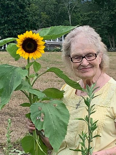 Nancy Theriault Profile Photo