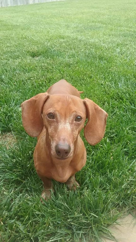 Murcee Greer Profile Photo