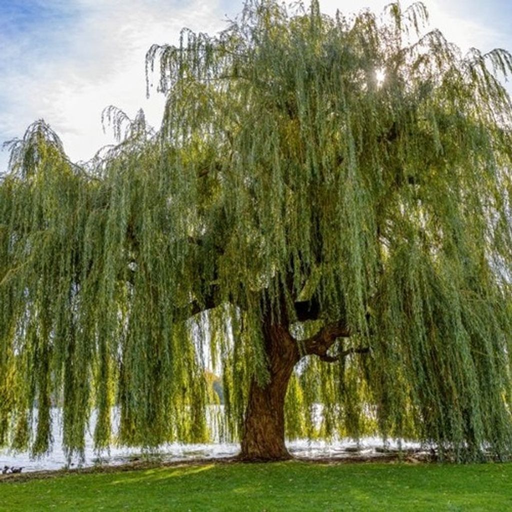 Eugene Emil Herrmann Profile Photo