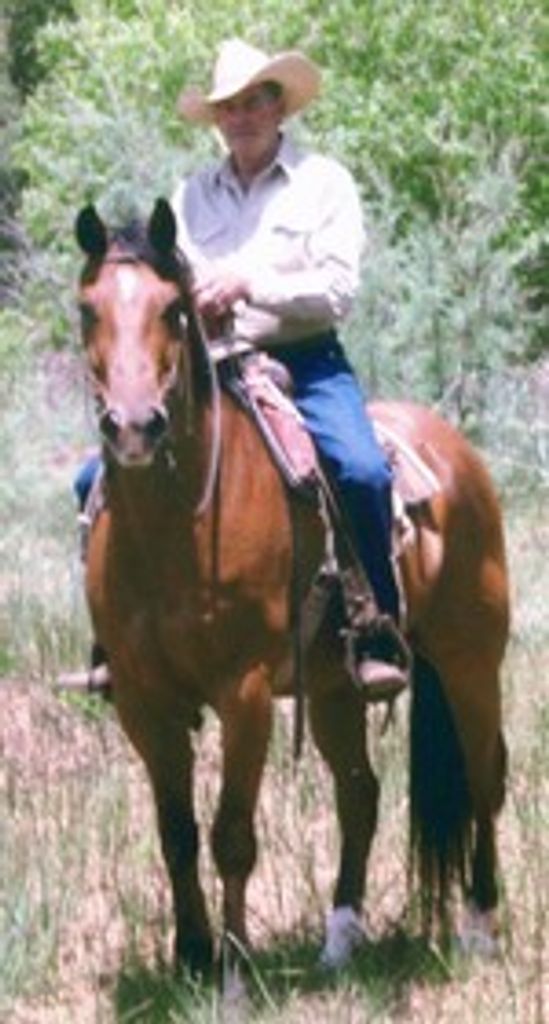 Richard Orin Patterson