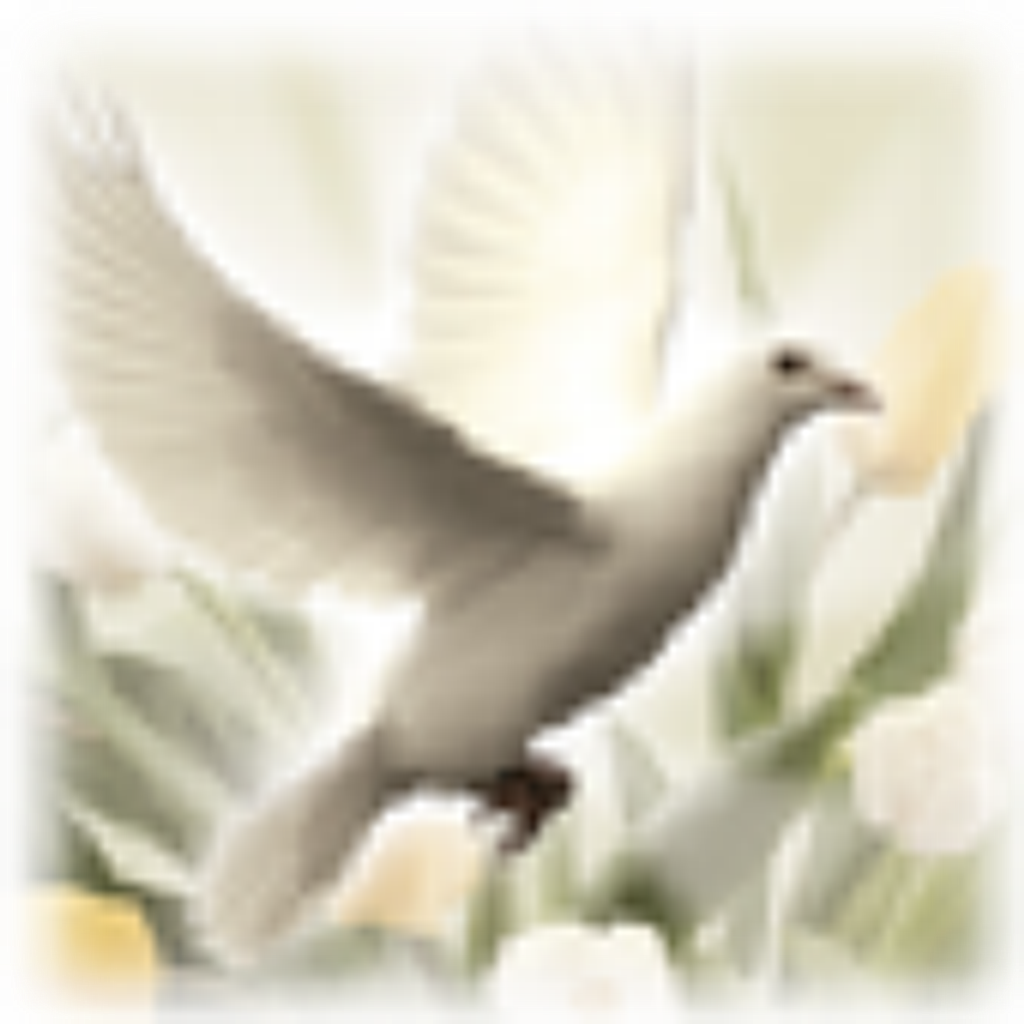 Evelyn P. Birchfield