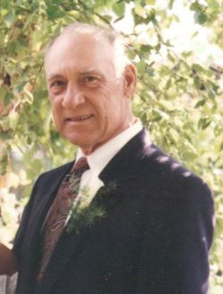 Daniel N. Sekulich