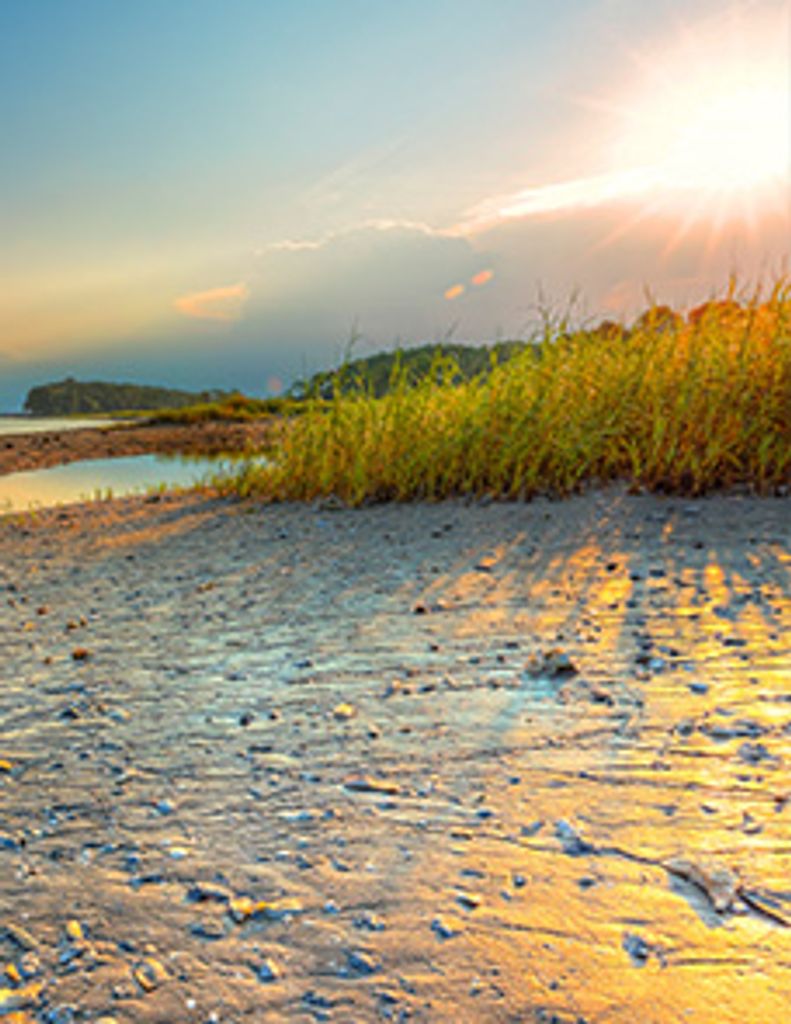 David Martze Ellis Sr.