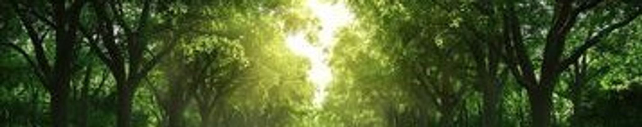 Cover for Danny C. Benson's Obituary