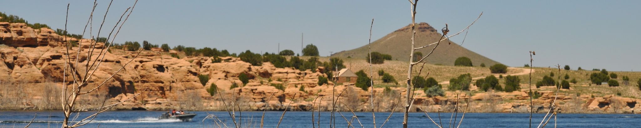 Cover for Dorothy Hall's Obituary