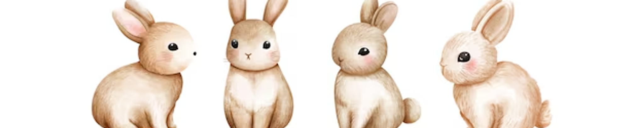 Cover for Vera D. Zimmerman's Obituary