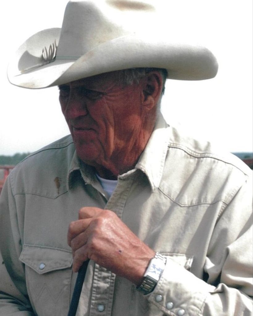 Jim Davis