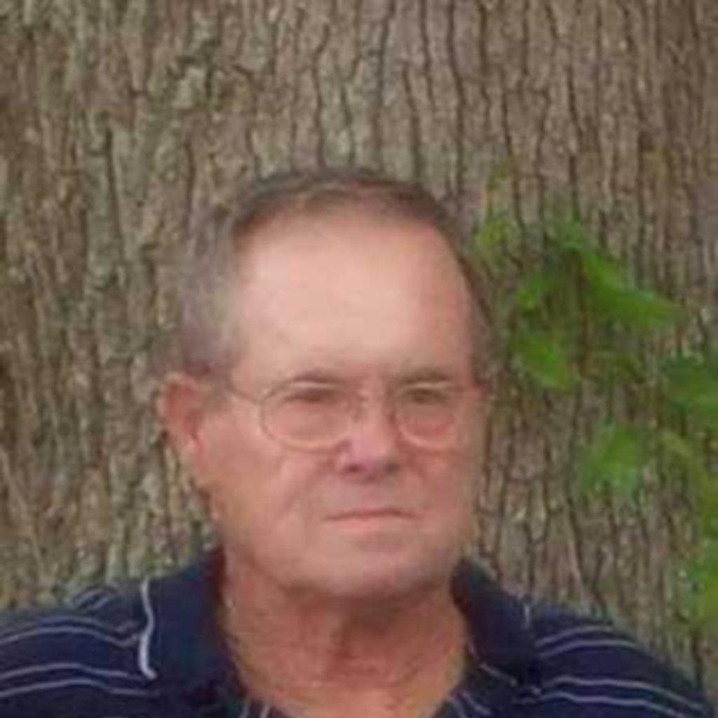 Lester Smith Bellflowers