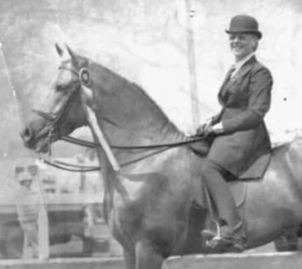 Sherrel D Stephenson