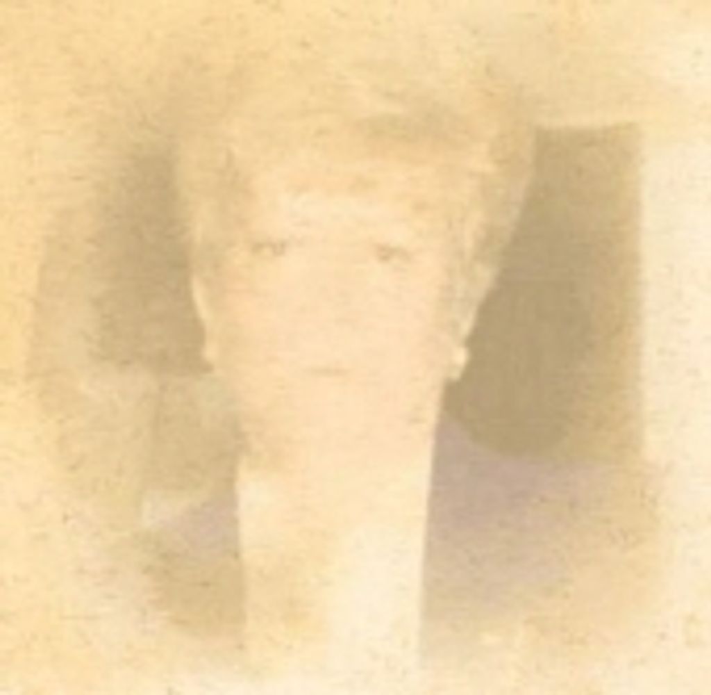 Ilean L. Raifsnider