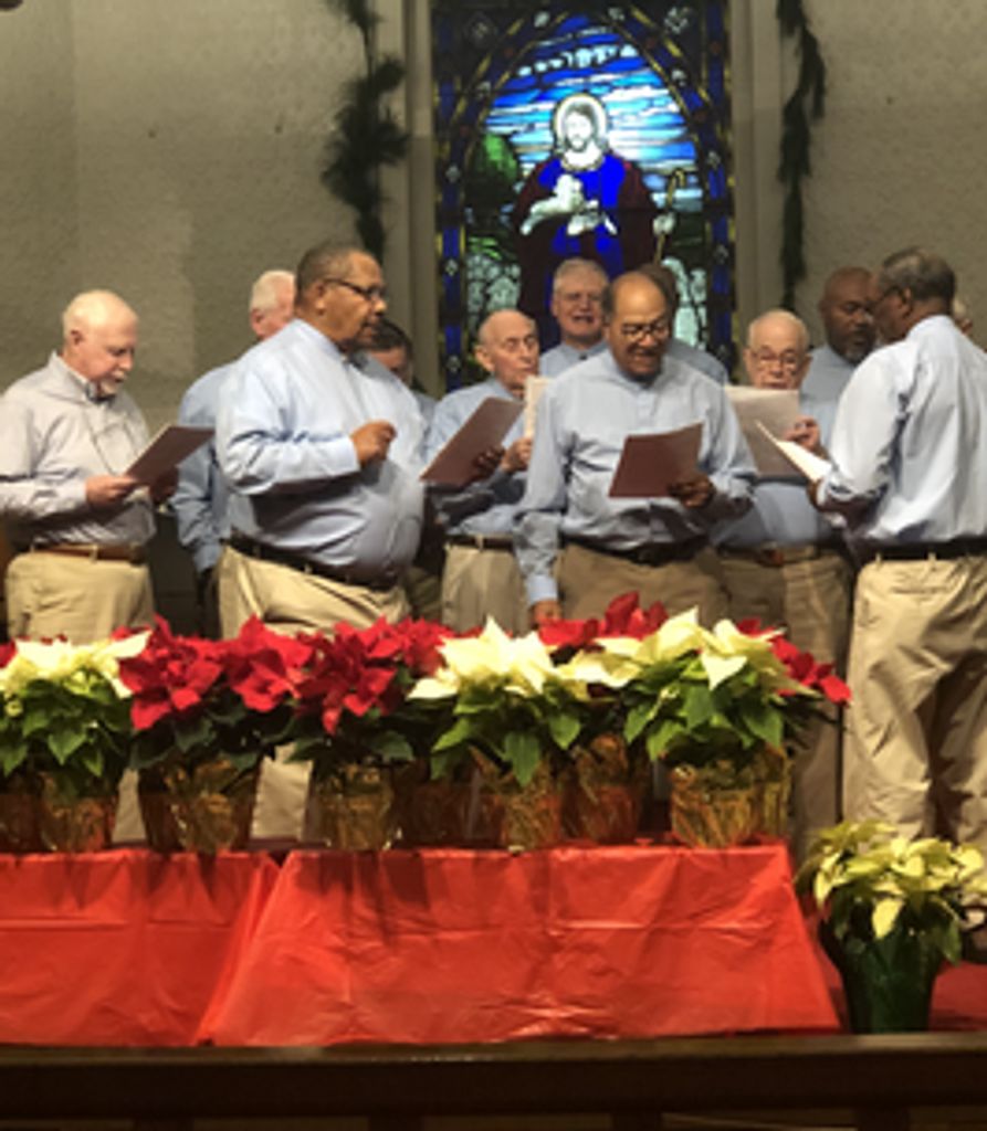 David Miller Profile Photo