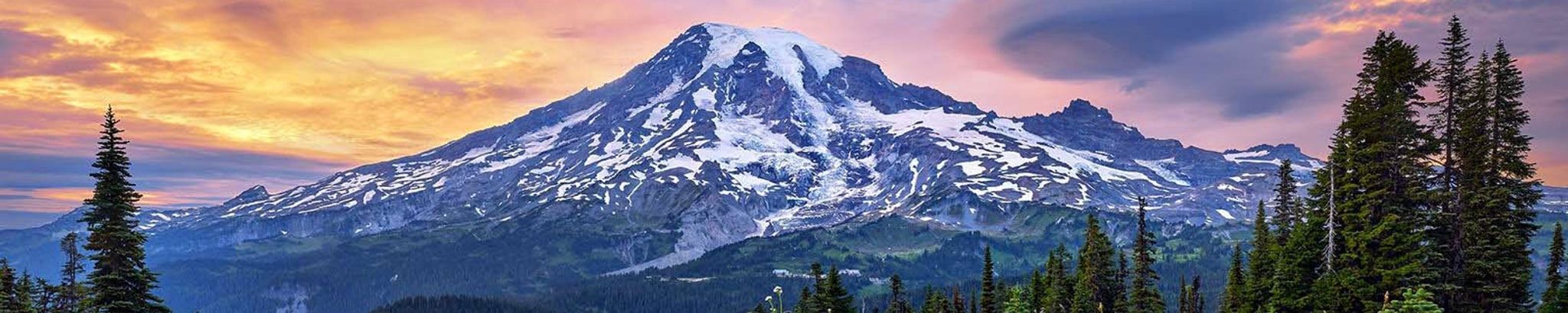 Cover for Rose Marie Linton's Obituary