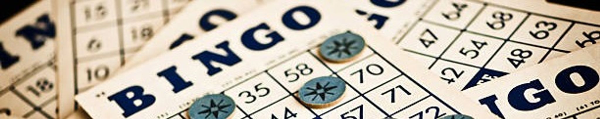 Cover for Carol Ann Bereza's Obituary