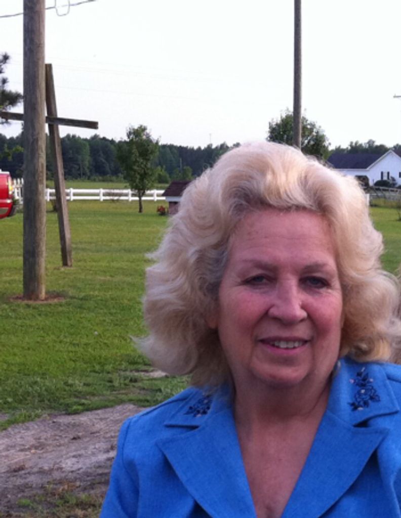 Janice Ann (Perritt)  Baker