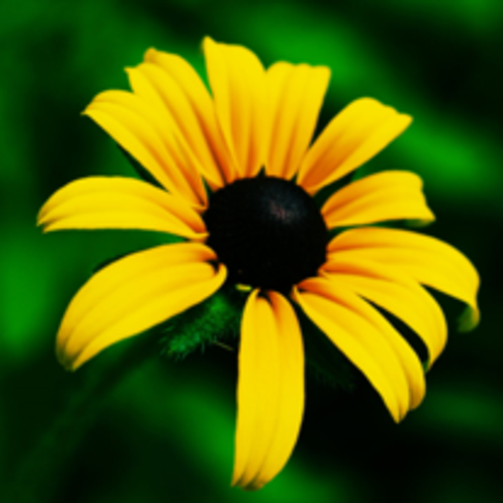 Veronica P. Smith Profile Photo