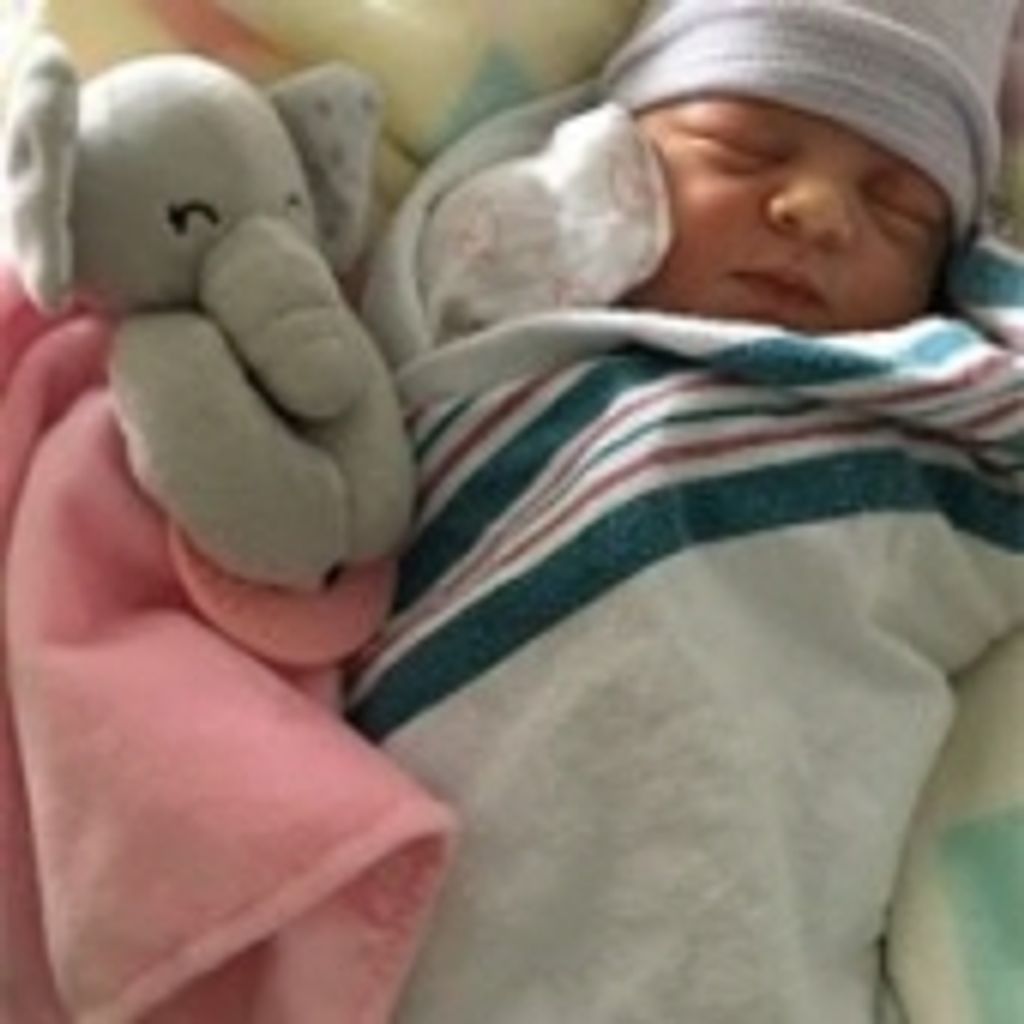 Isabella Rosetta Talton
