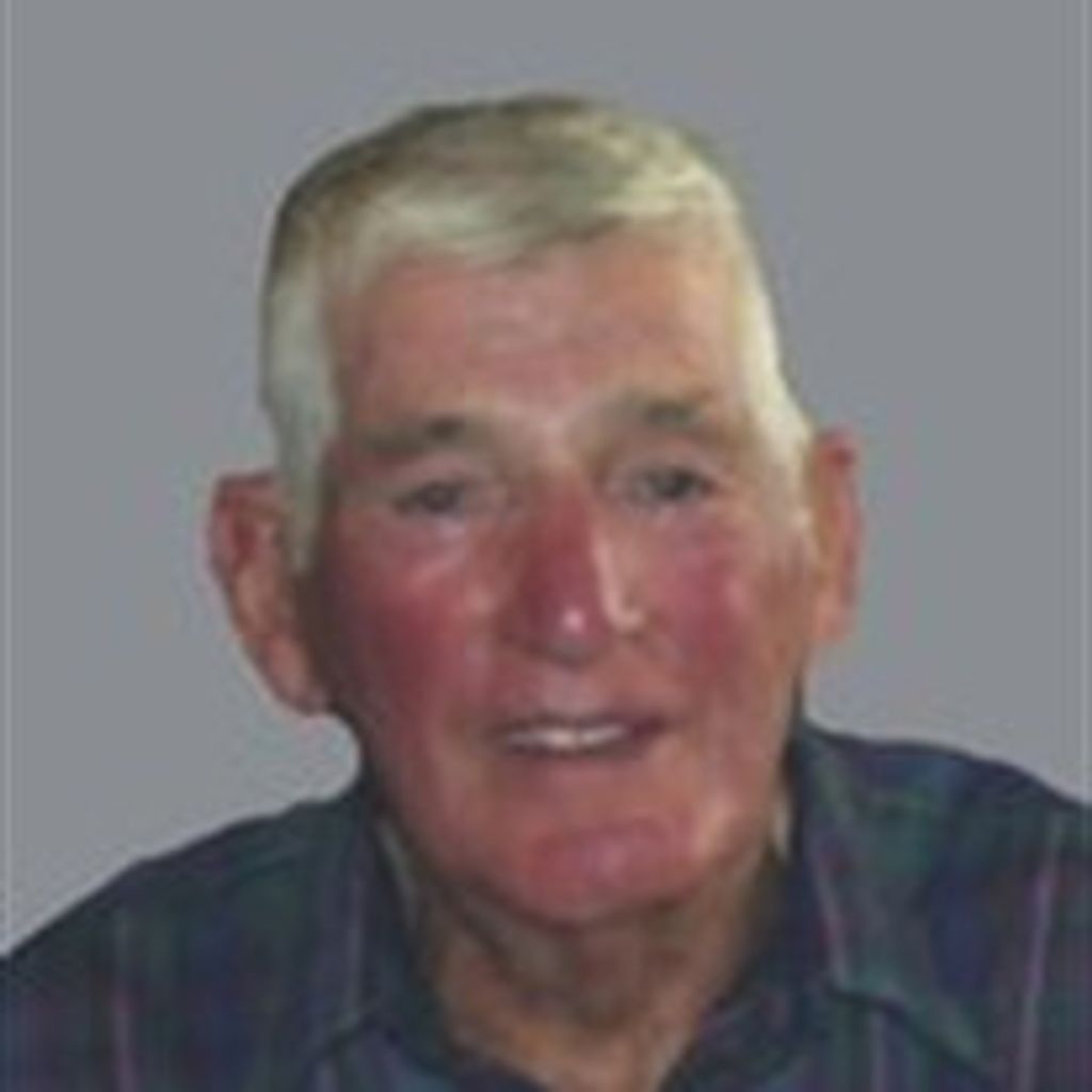 Marshall T. Ferdig