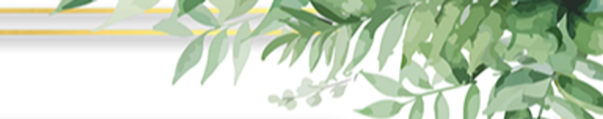 Cover for George Steve Zadan's Obituary