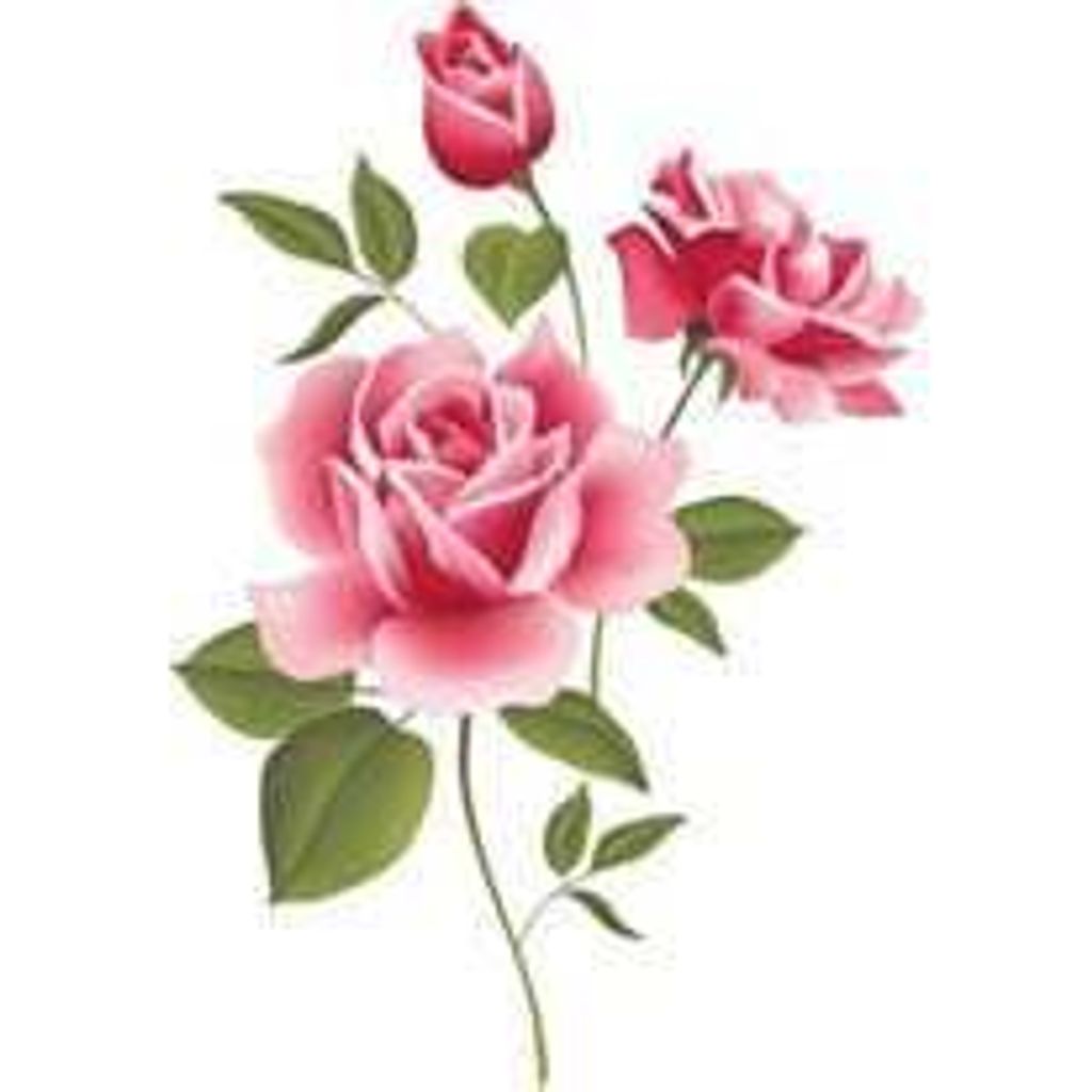 Susan E. Albert Profile Photo