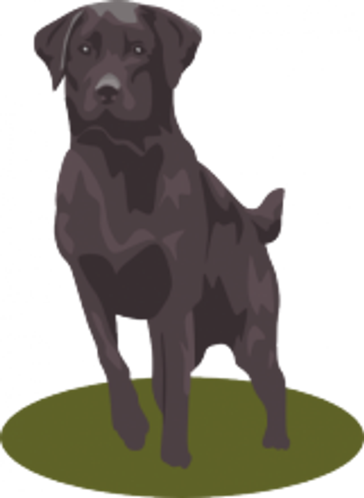 Oscar Boot Profile Photo