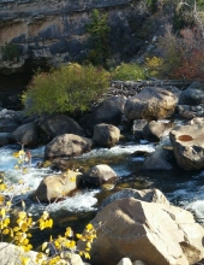 William Tomlinson Oviatt Profile Photo