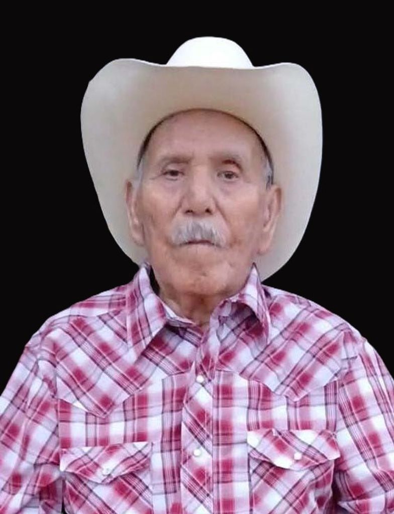 Ismael Navarrete Bustos