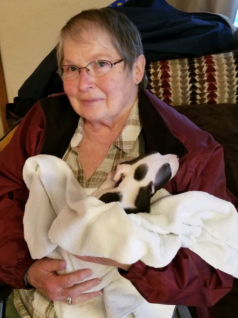 Ilene K. Thompson