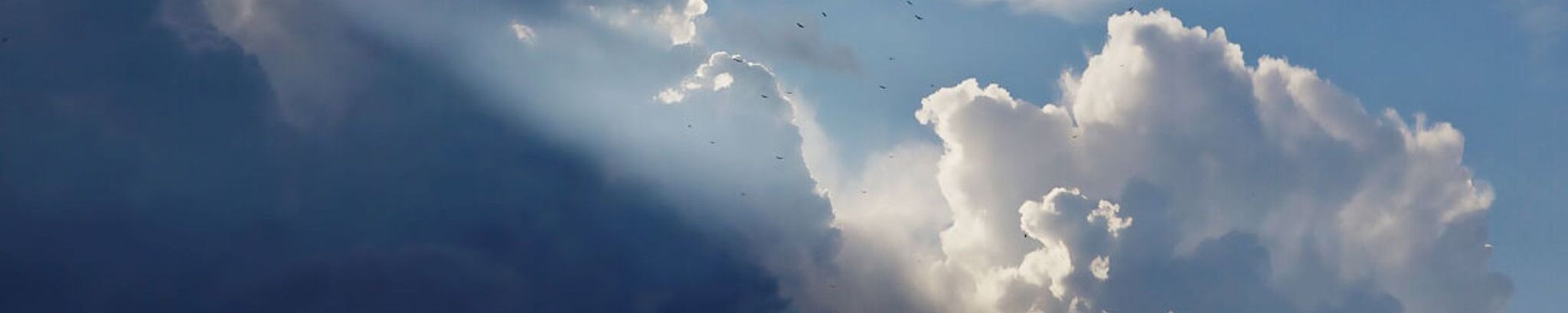 Cover photo for lla Leonhart's Obituary