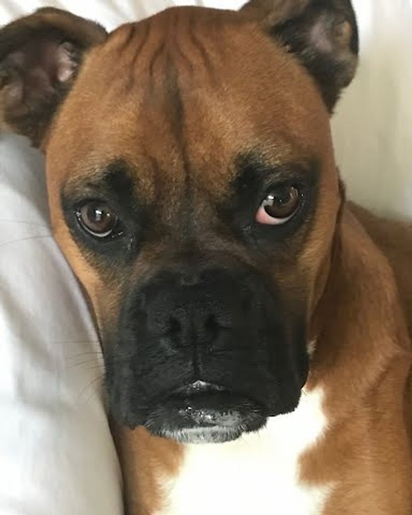 Happy Waugh Profile Photo