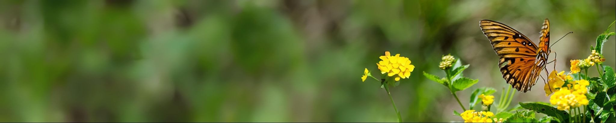 Cover photo for Patricia Ojeda's Obituary