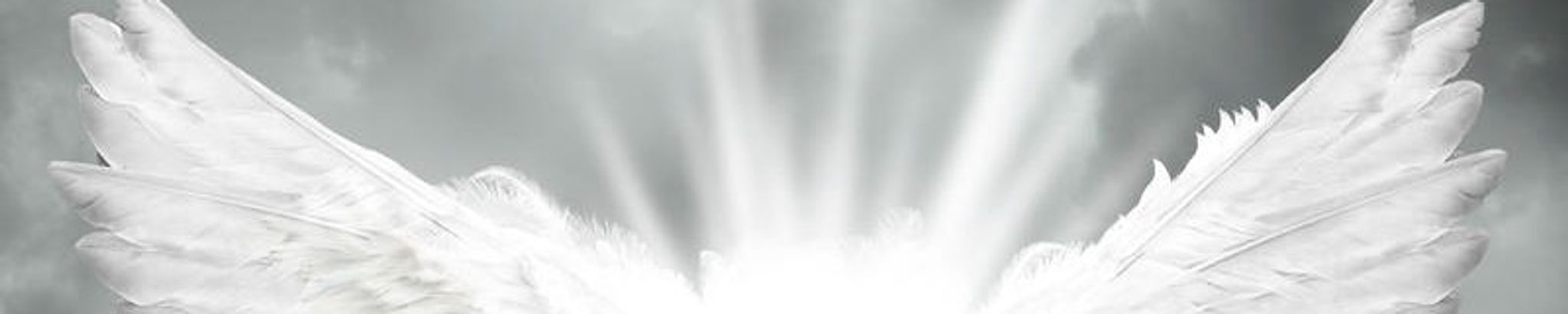 Cover photo for Miguel Lujan's Obituary